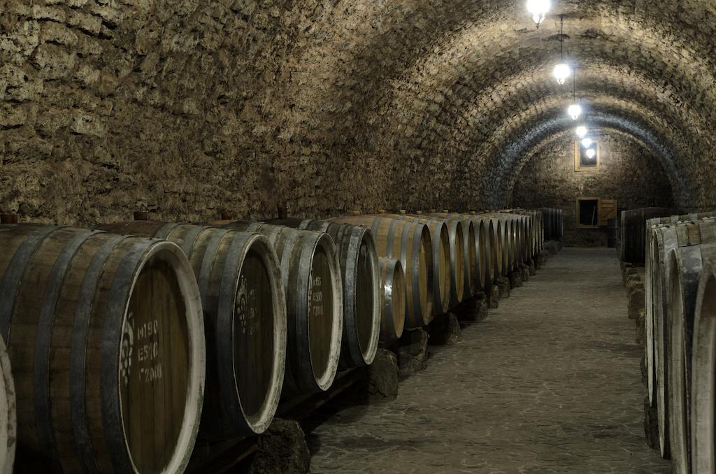 Prince Trubetskoi Winery Hotell Nova Kakhovka Eksteriør bilde